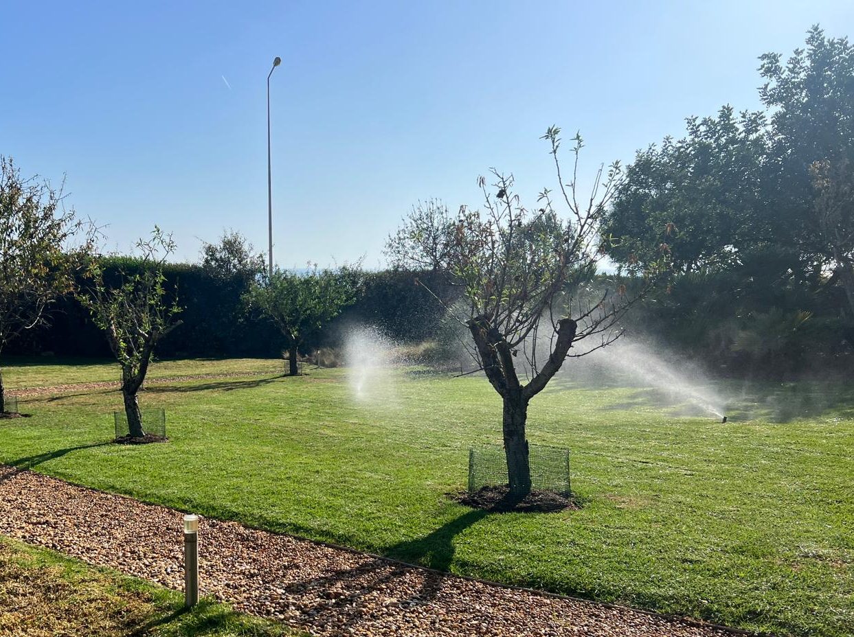 WhatsApp Image 2023-12-18 at 7.06.44 PM