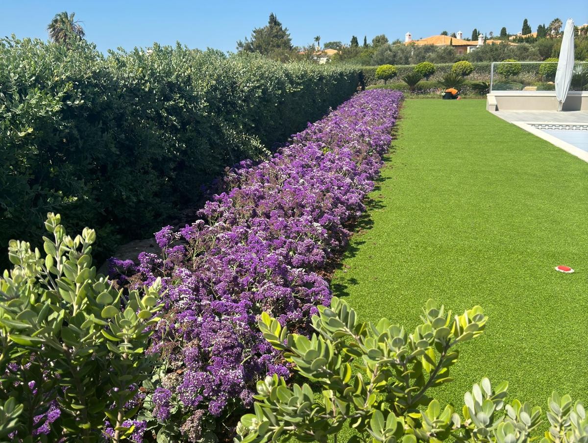 Imagem WhatsApp 2025-09-11 às 15.18.56_ec604112