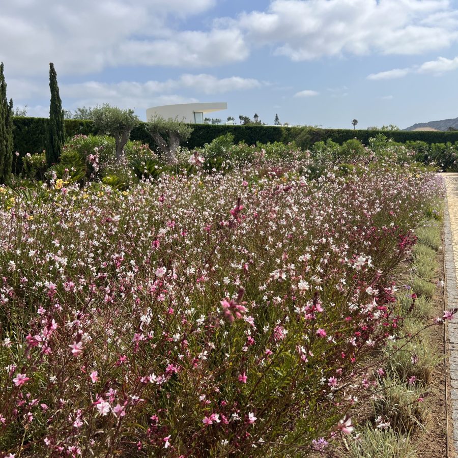 4A077CFA-B7E6-4DA2-BBA2-C3F8EA86C8FB