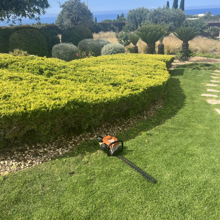 F1268E0B-74F6-4C12-B723-4E65BD1C9F55