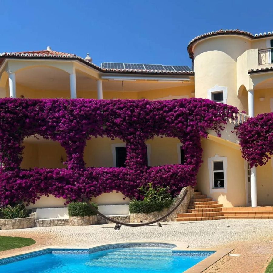 PHOTO-2026-02-26-10-32-18 (1)