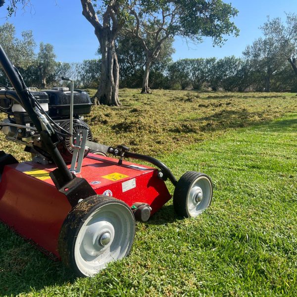 WhatsApp Image 2023-12-18 at 7.06.36 PM