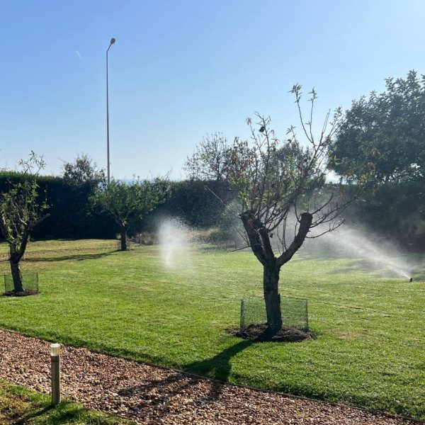 WhatsApp Image 2023-12-18 at 7.06.44 PM