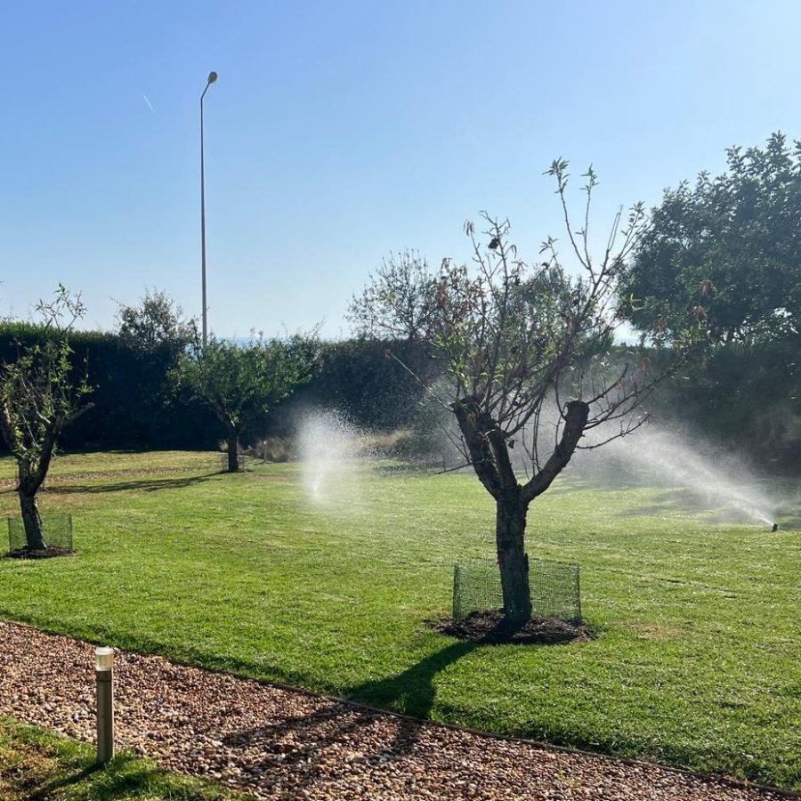 WhatsApp Image 2023-12-18 at 7.06.44 PM